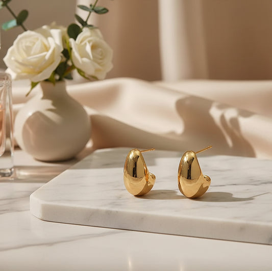 Boucle d' oreille tendance